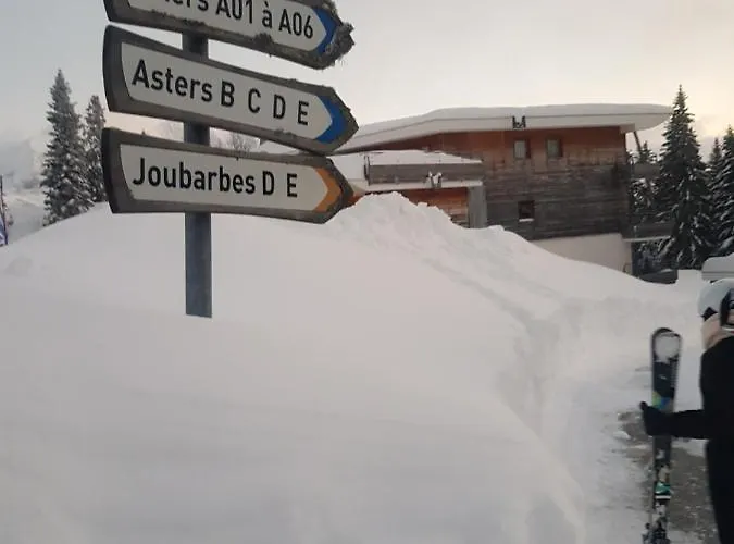 Apartamento L'apres-ski 1700